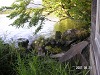s_PICT0407_thumb.png